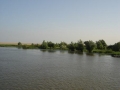 Priveliste in Delta Dunarii Romania